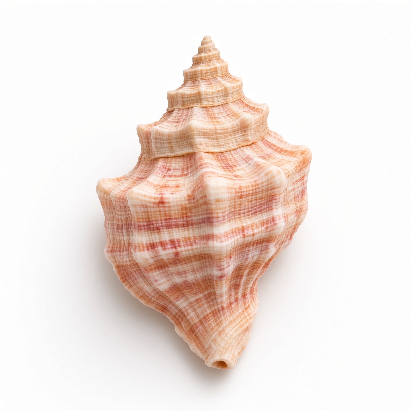 Blush Ridge Spindle